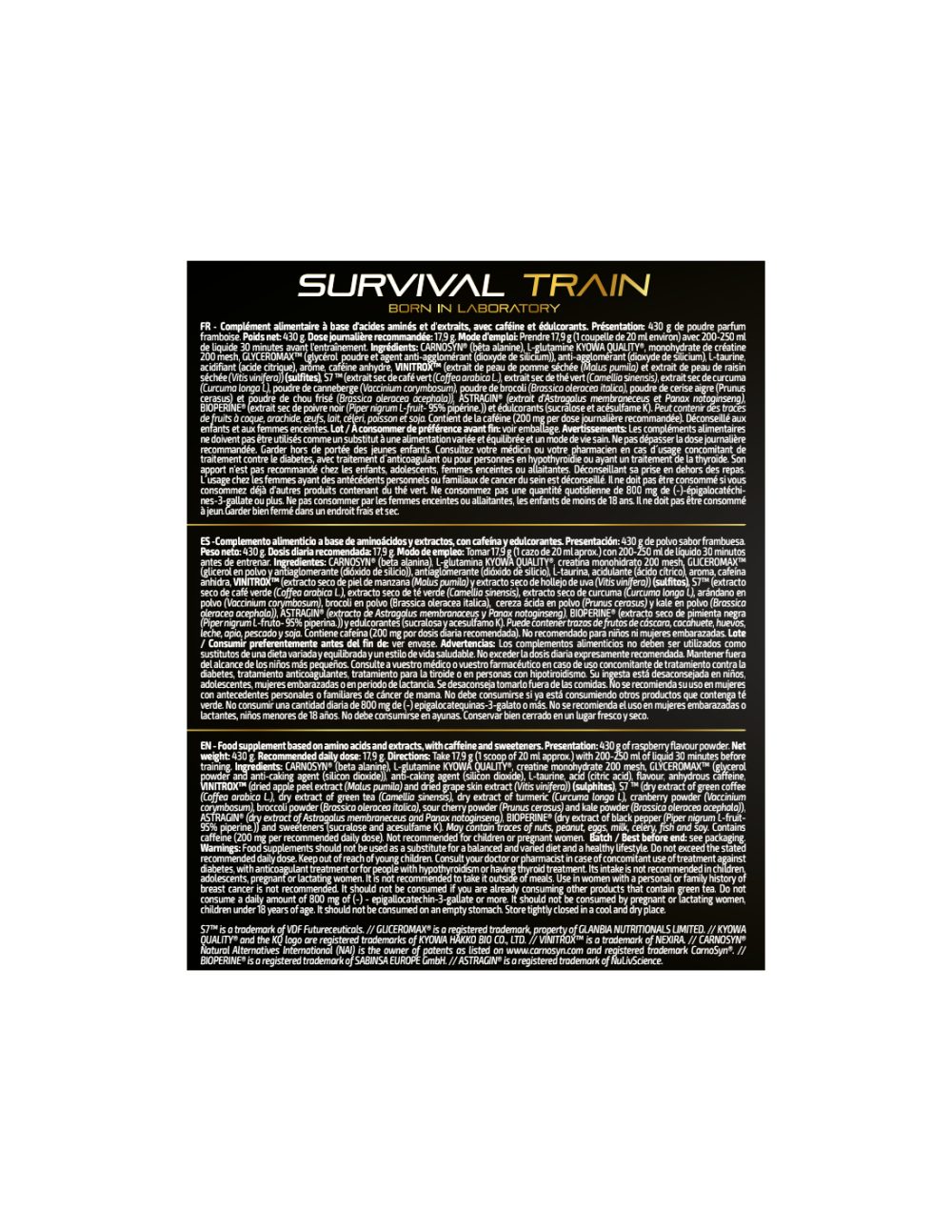Survival Train - Image 3